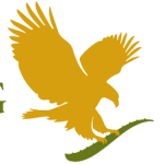 FLP Clean 9 Explained  How C9 Forever Living Works for Detox and Weight Loss
